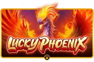 nnk77 Live Casino